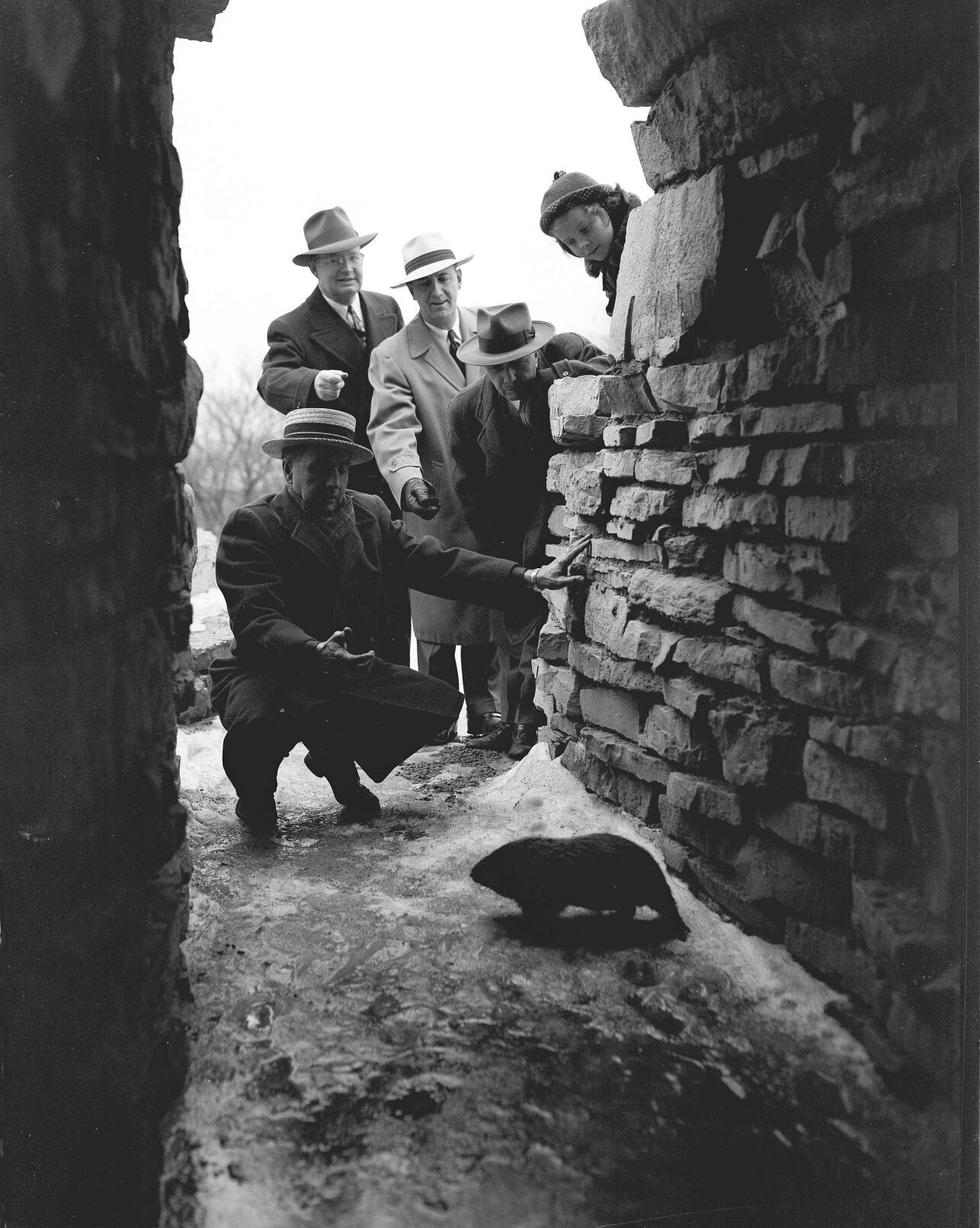 Tait Clifford, George Speidel, Harold Phelan, Howard J. Thompson, Susan Phelan